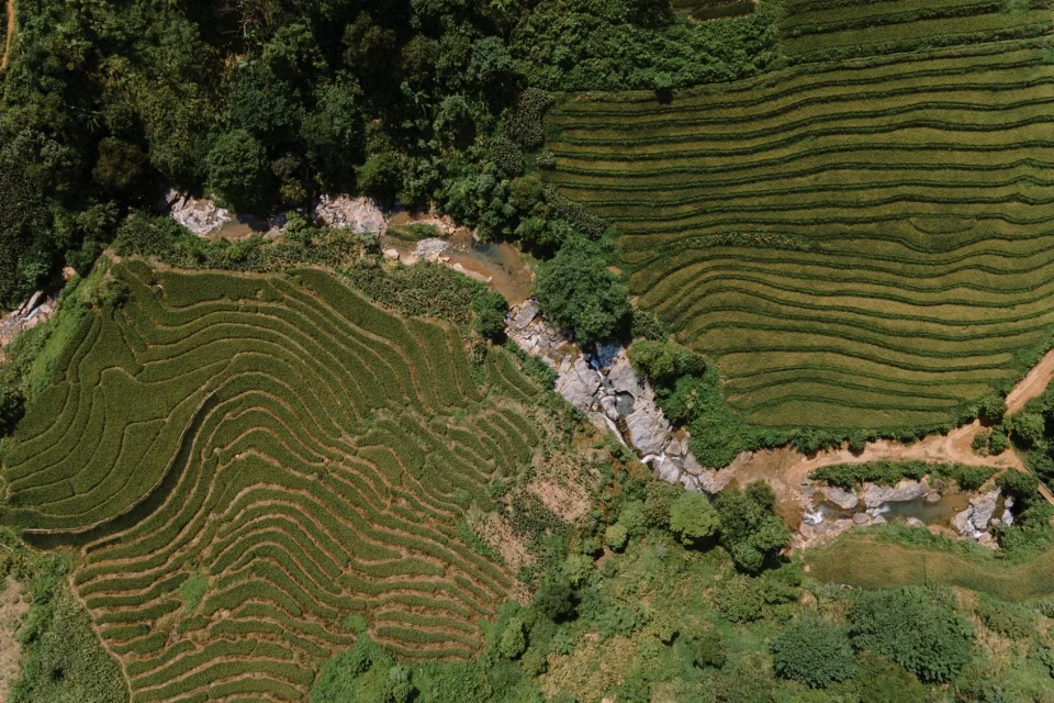 Kho gạo của Hồ Văn Xơ
